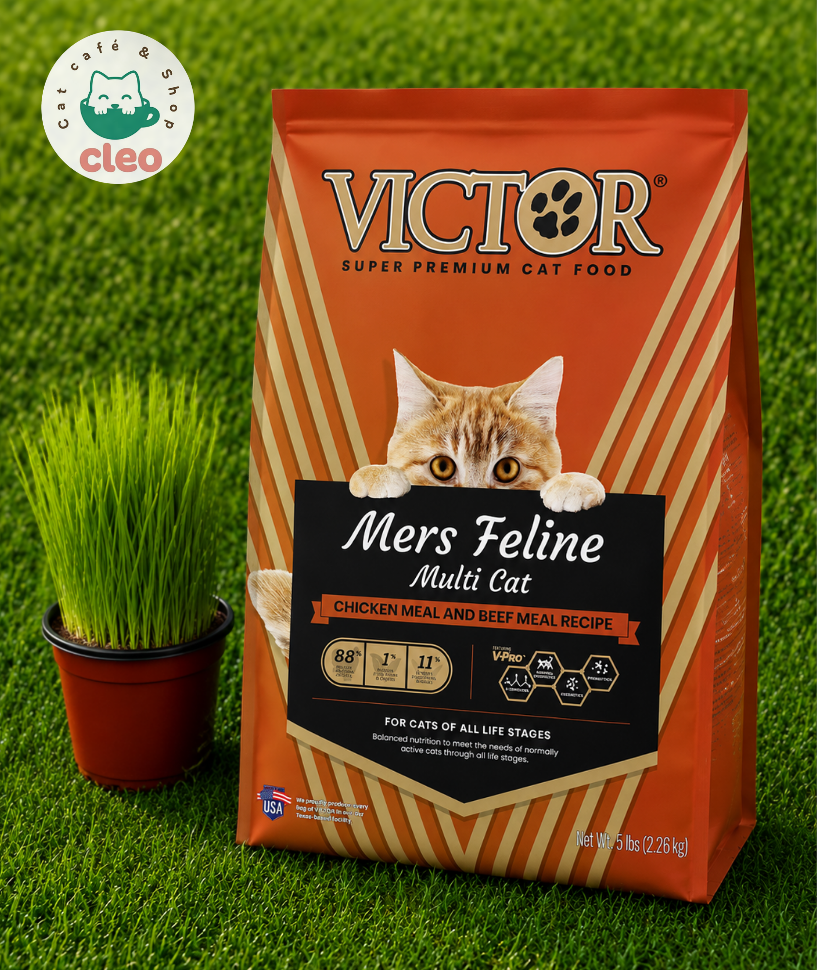 VICTOR Mers Feline Multi-Cat 5 lb
