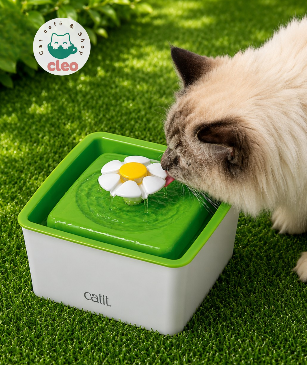 Catit Mini Flower Fountain 1.5 L | Fuente de Agua para Gatos con Triple Filtración