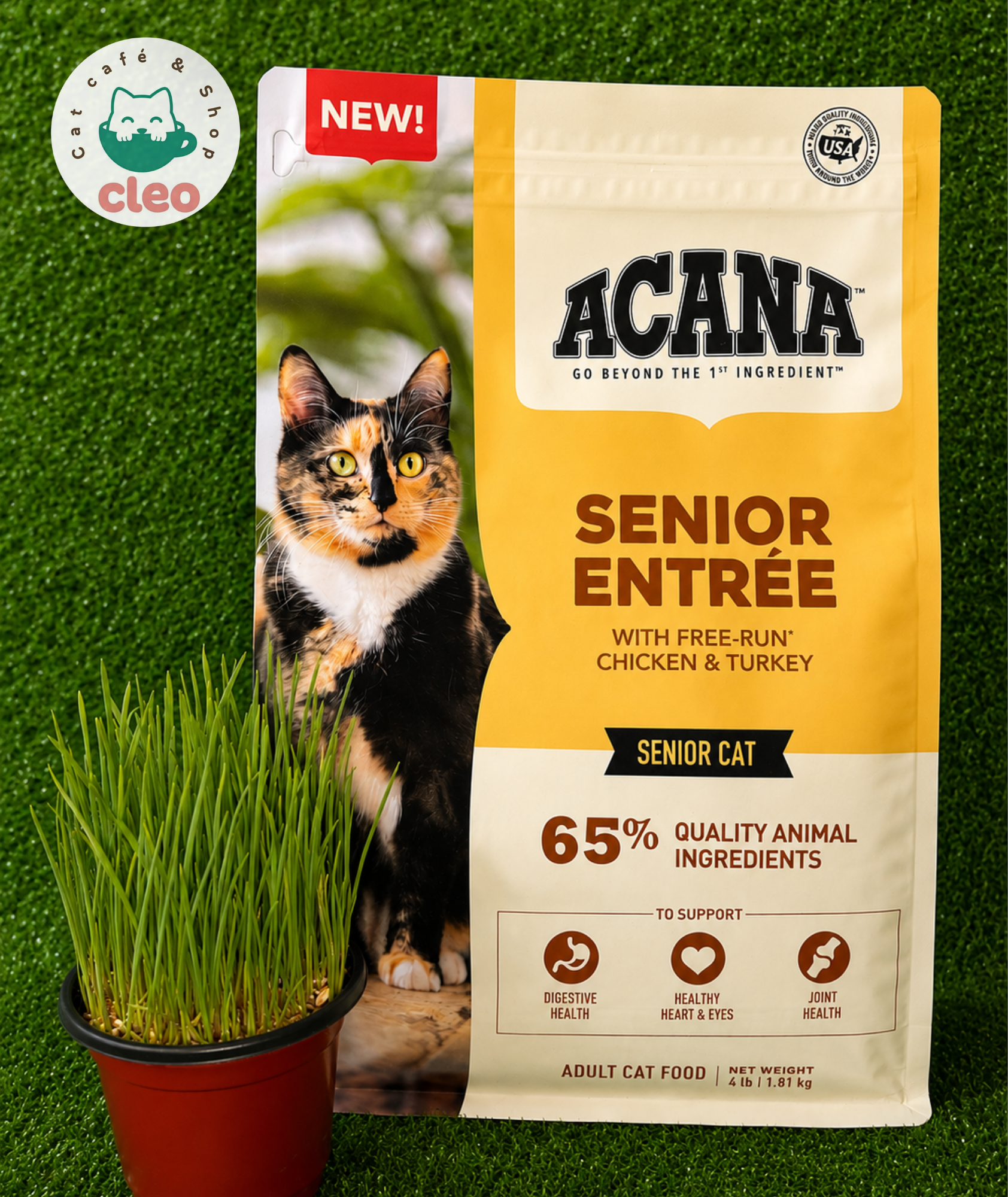 ACANA Senior Entrée 1.81 kg | Alimento para Gatos Senior con Pollo y Pavo para Articulaciones y Bienestar