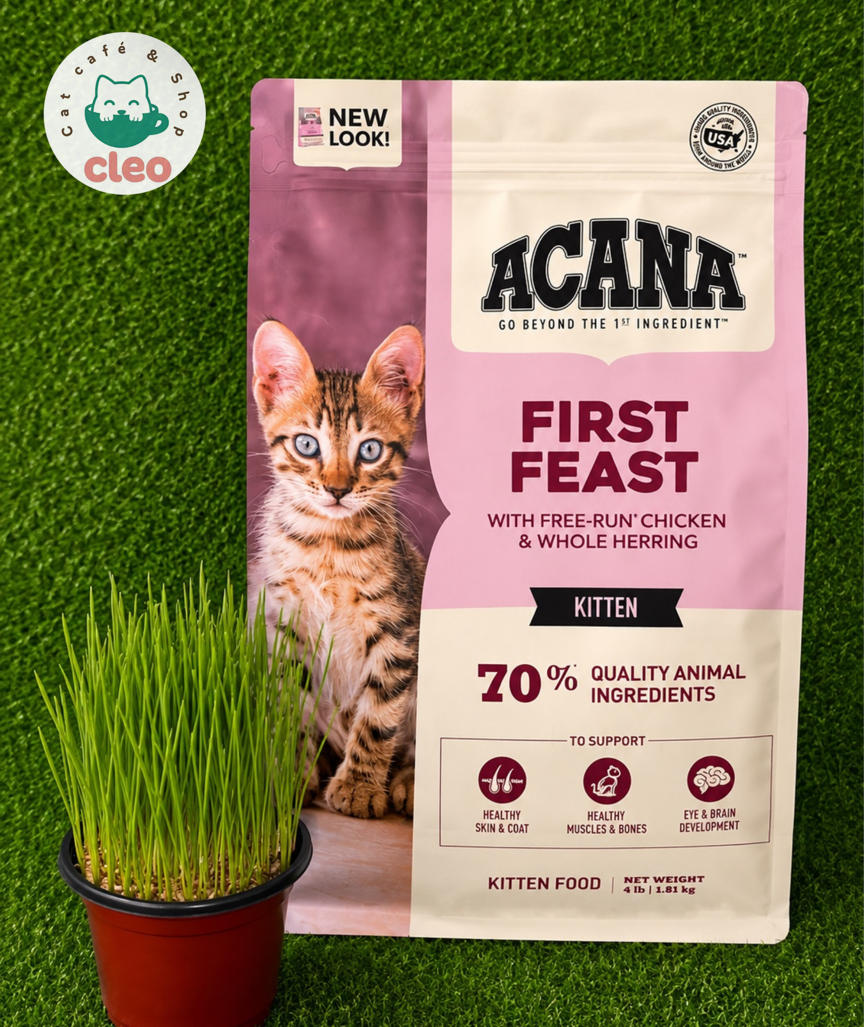 ACANA First Feast Kitten 1.81 kg | Alimento para Gatitos con Pollo y Arenque para Crecimiento y Desarrollo