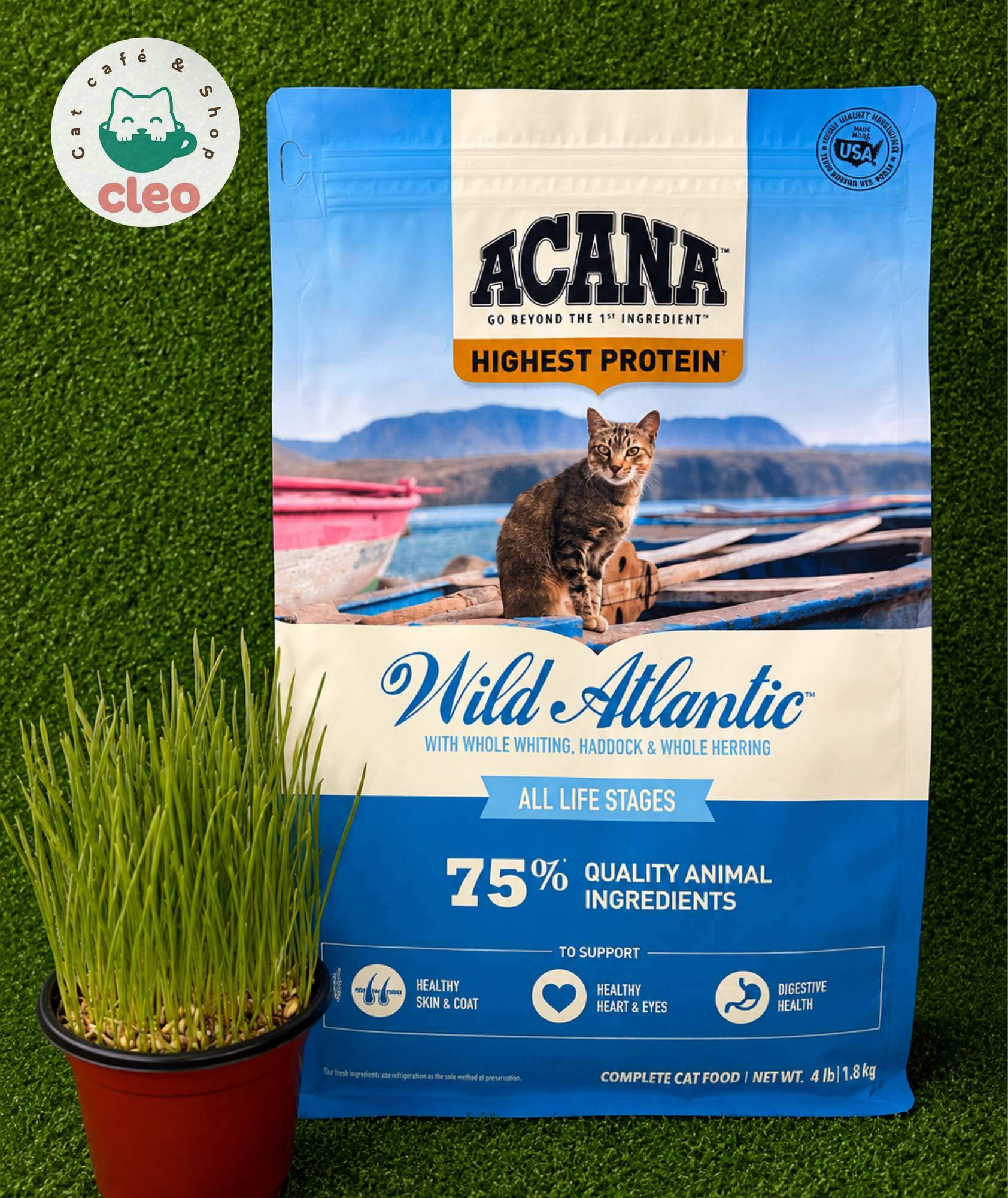 ACANA Wild Atlantic Highest Protein 1.8 kg | Alimento para Gatos con 75% de Ingredientes de Origen Animal