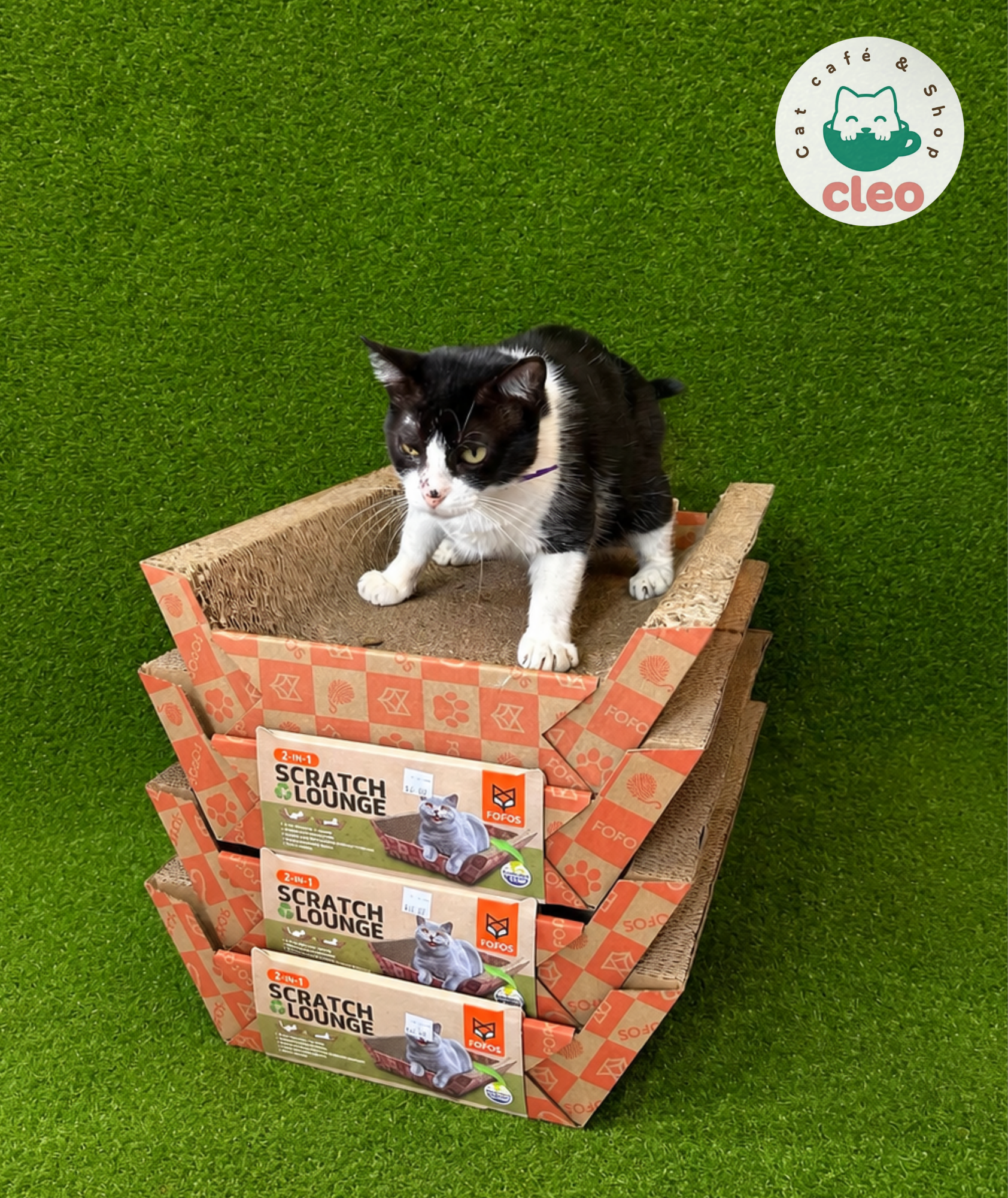 FOFOS 2-in-1 Scratch & Lounge | Rascador de Cartón y Cama de Descanso para Gatos