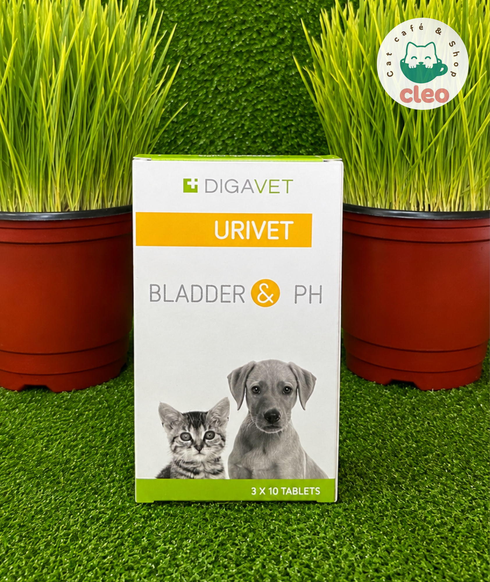 Digavet Urivet Bladder & pH 30 Tabletas | Suplemento para la Salud Urinaria de Perros y Gatos