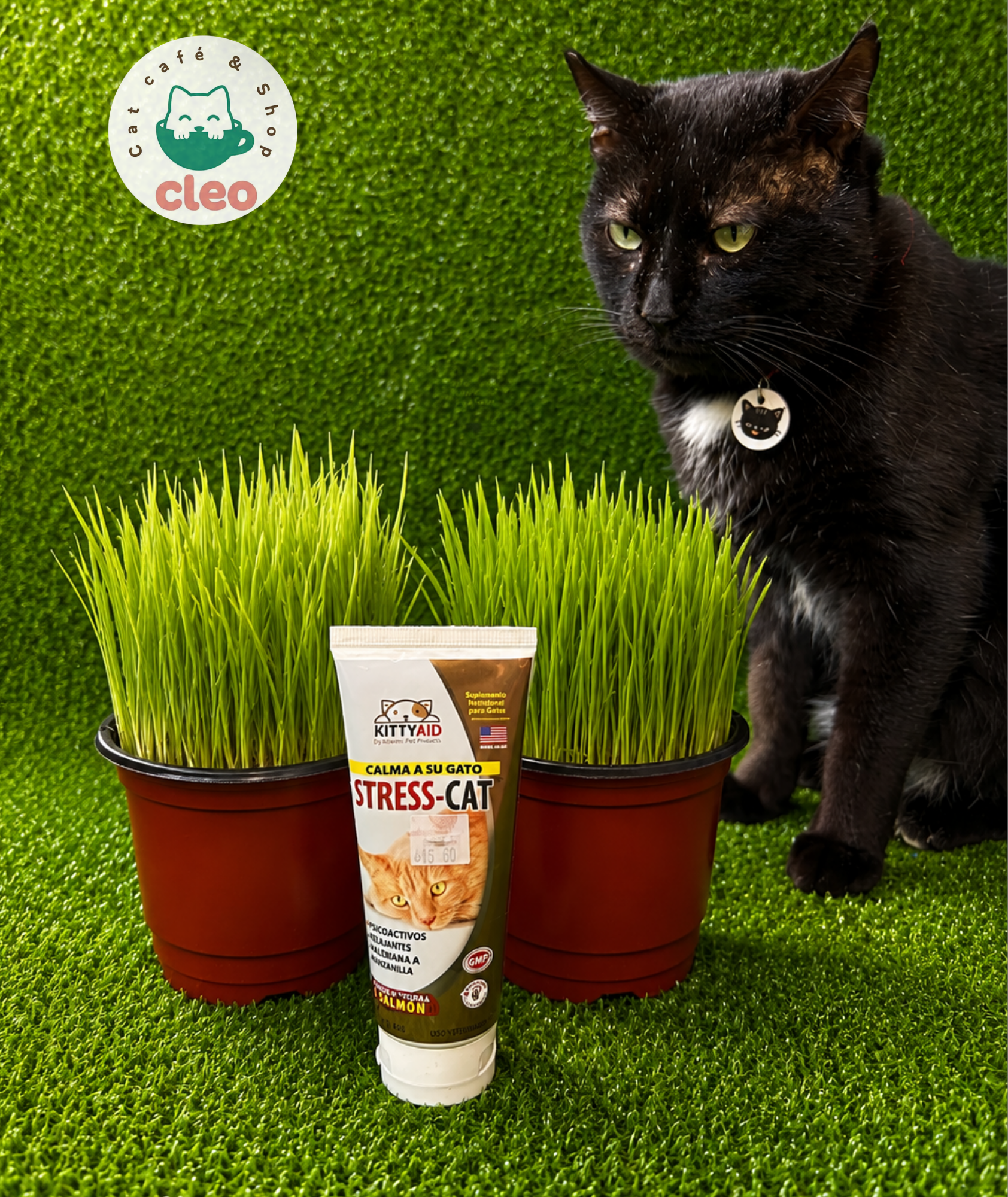Kitty Aid Stress-Cat Sabor Salmón 4 oz | Gel Calmante y Relajante para Gatos