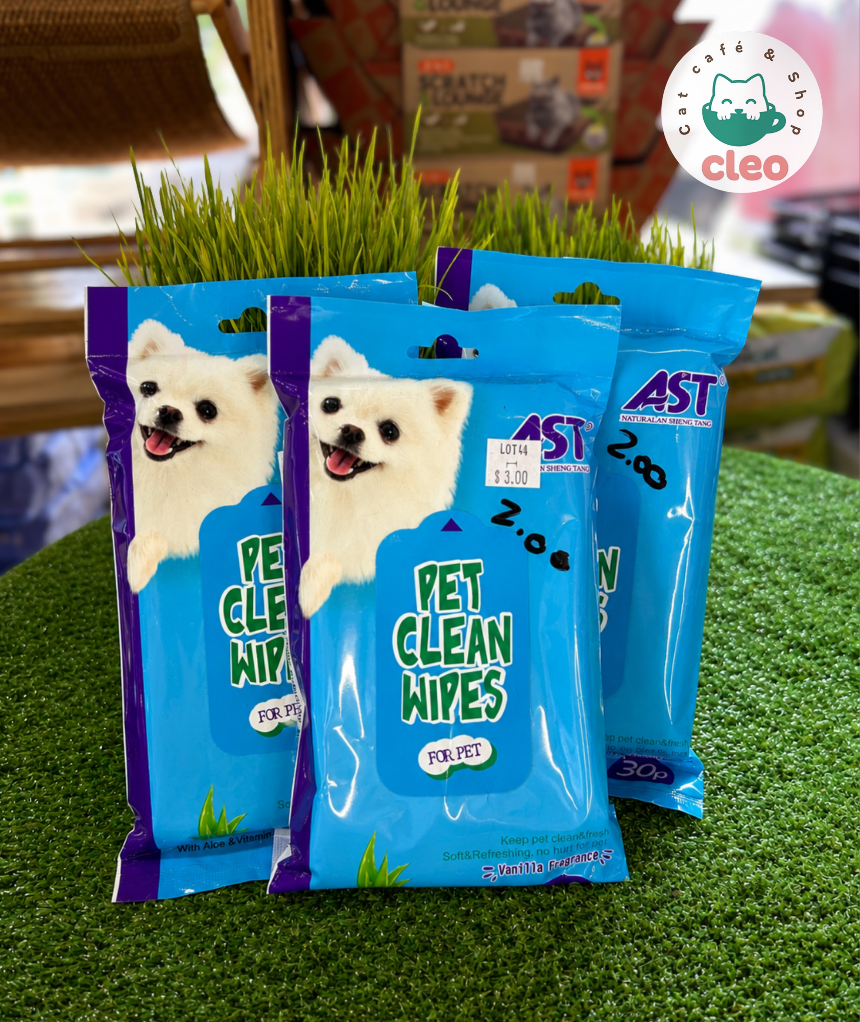 AST Pet Clean Wipes 30 Unidades | Toallitas Húmedas para Limpieza de Mascotas - Imagen 2