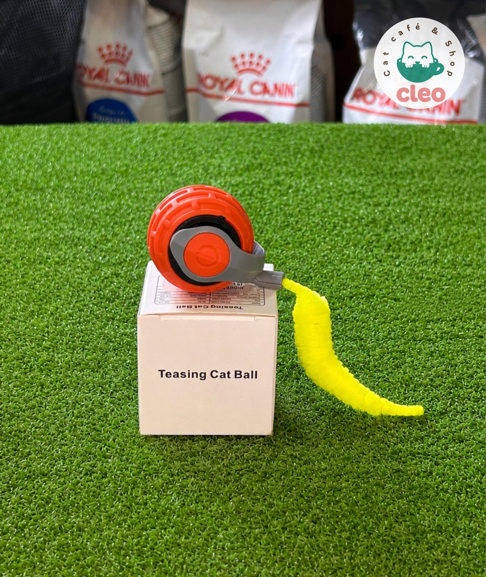 Teasing Cat Ball | Pelota Interactiva Automática con Cola para Gatos