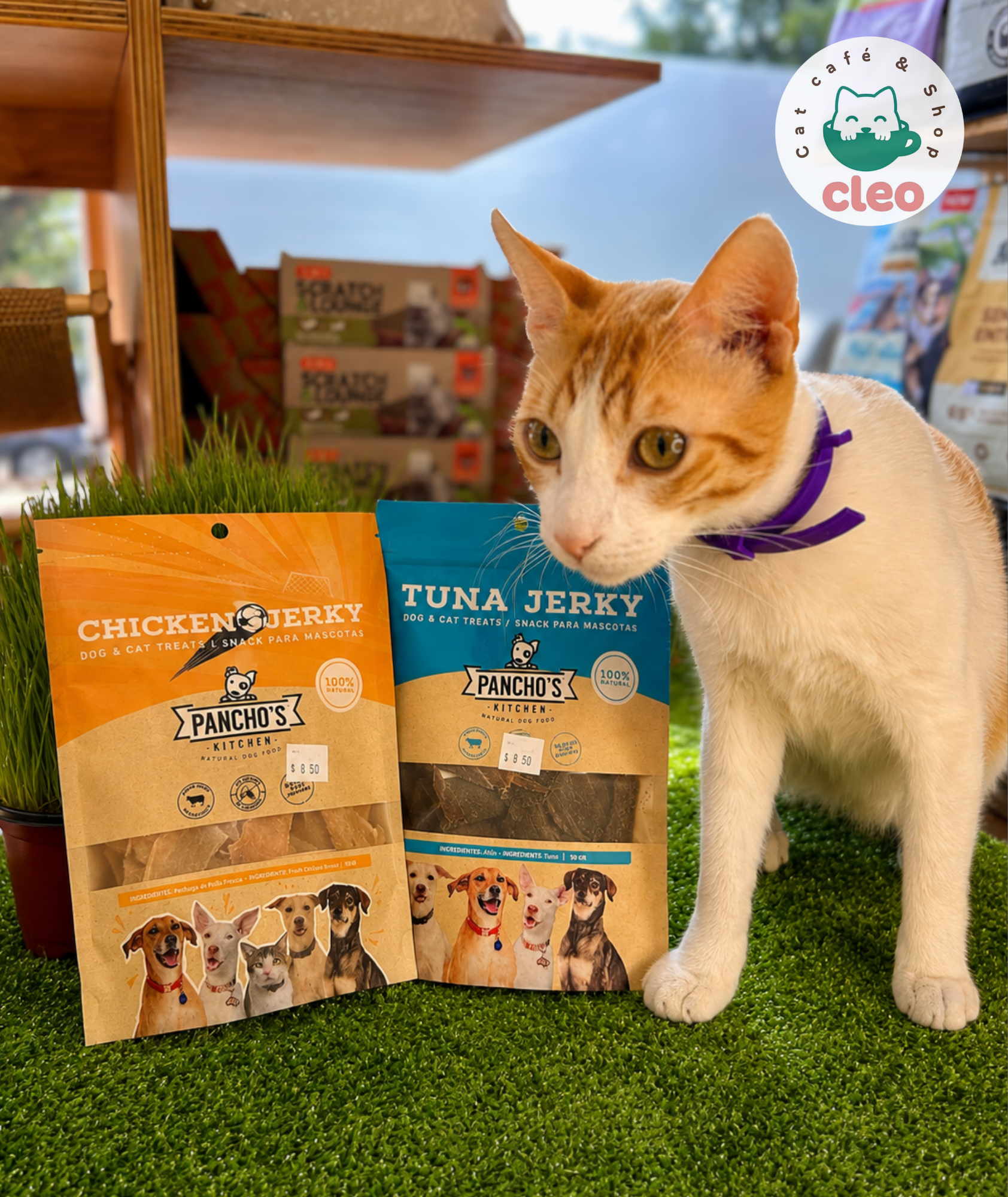 Pancho’s Kitchen Chicken Jerky 50 g | Snack Natural de Pechuga de Pollo para Perros y Gatos