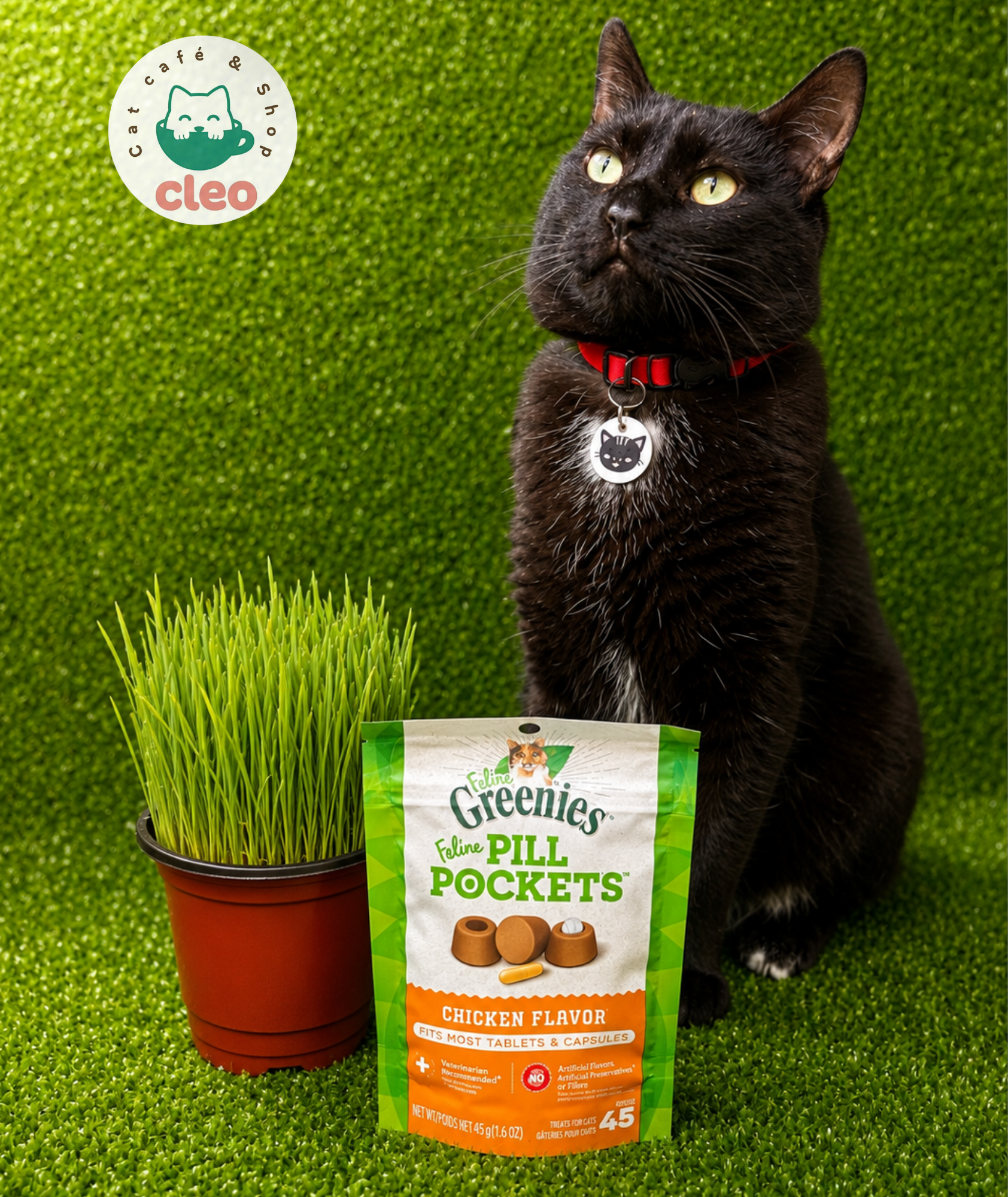 Feline Greenies Pill Pockets Chicken Flavor 45 unidades | Snacks para Dar Medicamentos a Gatos